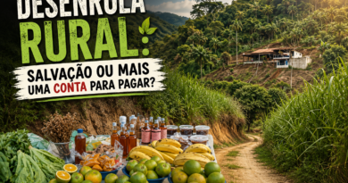 Banner ilustrativo sobre o Desenrola Rural. Em primeiro plano aparecem produtos da agricultura familiar, como frutas, verduras, mel e produtos artesanais. Ao fundo, uma estrada rural de terra conduz o olhar para uma propriedade localizada em área montanhosa cercada por vegetação exuberante. O título "Desenrola Rural: Salvação ou mais uma conta para pagar?" aparece em destaque, remetendo ao debate sobre o endividamento dos produtores rurais e os desafios da atividade agrícola.